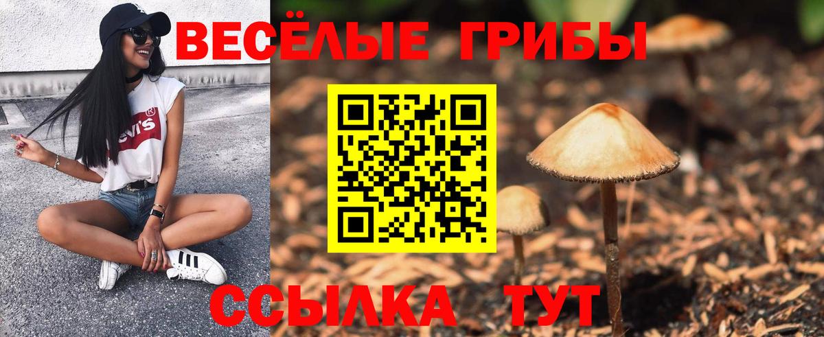 Гусиноозёрск  Галлюциногенные грибы Magic Shrooms  Вход с VPN 