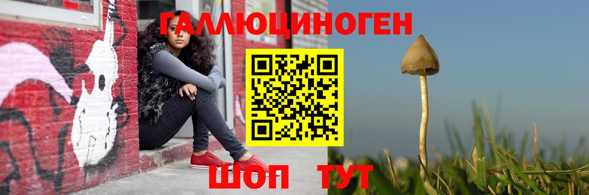 Псилоцибиновые грибы мухоморы Гусиноозёрск